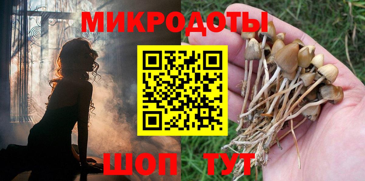 Псилоцибиновые грибы прущие грибы Сергиев Посад